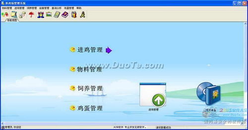 兴华蛋鸡饲养管理系统软件开发设计方案